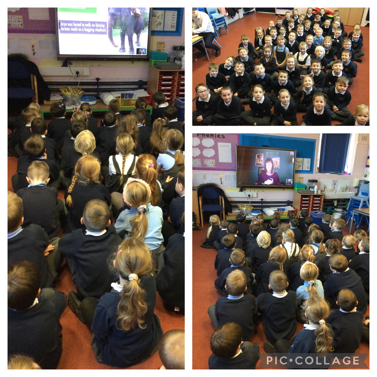 The year 2 children loved this mornings zoom session from SOS elephants. They even got to see some elephants live in India. #savetheelephants #rescuingelephants #SOSelephants 🐘🐘🐘