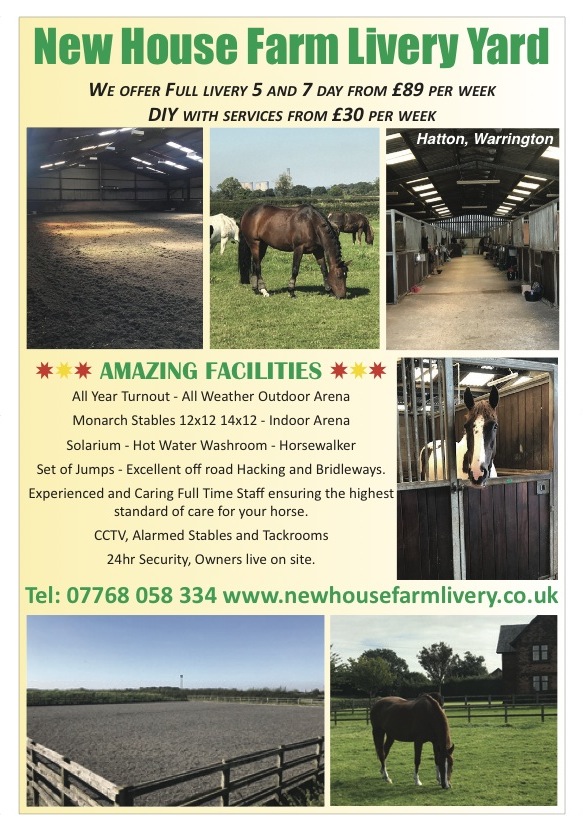 Looking for livery in Cheshire? New House Farm Livery in Hatton, Warrington have a couple of vacancies and have fantastic facilities on offer!