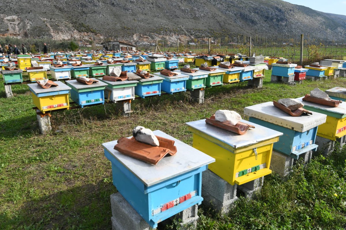 EU in Albania tweet media