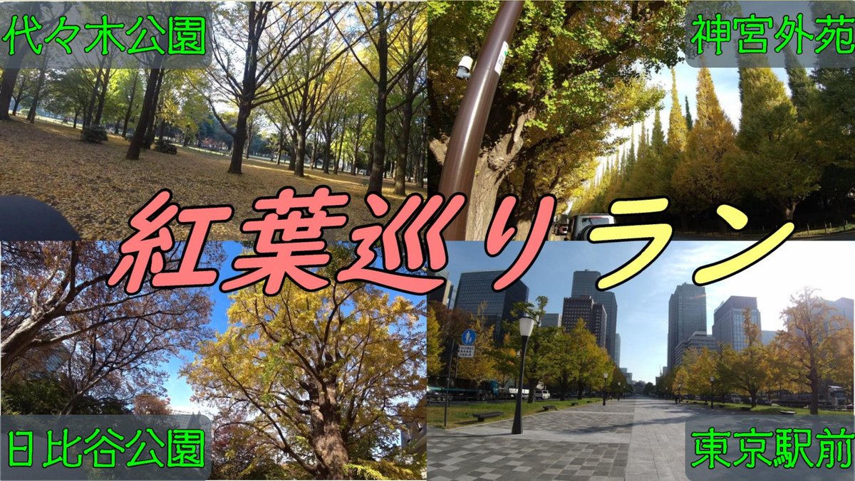 running_gift's tweet photo. 『紅葉巡りランニング』
明日、20時にアップします📹
紅葉がきれいになってきましたね🍁🍁
今回は都内の紅葉の名所を巡っていきます🏃💨
是非、ご覧ください🥰
#RunningGift
#紅葉巡りラン
#紅葉
#代々木公園
#神宮外苑
#日比谷公園
#東京駅
#running
#ランニング
#マラソン https://t.co/ih2NsaSc3Z