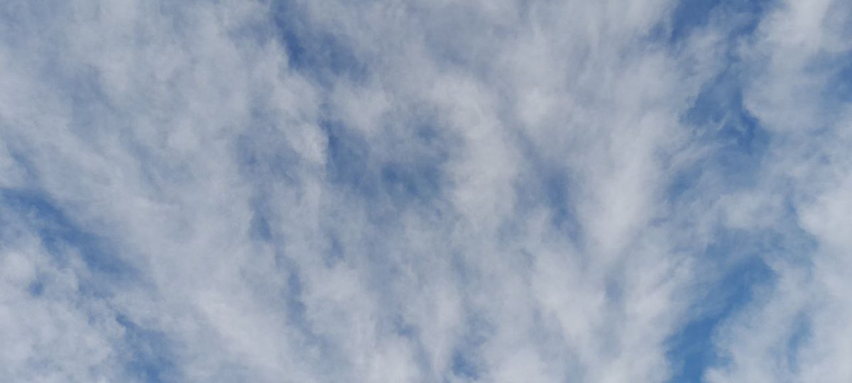 ShowMeTheSky1's tweet photo. #25Noviembre Zona de #Almeria 11:00 #NubesDeEvolución #NubesAltas #CieloNublado #CieloLechoso #NubesNaturales #CieloLechoso #Dimming GeoIngenieria HAARP NexRad SRM #ManipulaciónClimática Mira Al Cielo. No te pedimos que pienses como nosotr@s, solo que pienses https://t.co/xh5JC54tMs