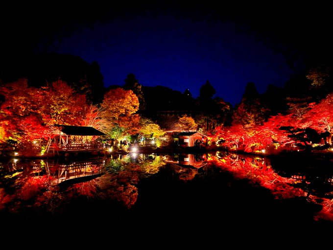 東山動植物園 紅葉22の見頃はいつ ライトアップ時間や人気スポット2選 Mitsuゆる日記