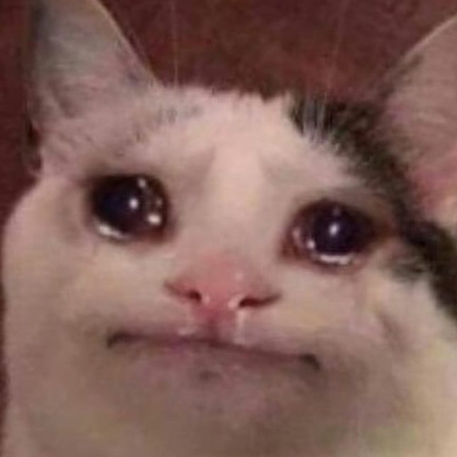 Dailynvls's tweet photo. Mano eu não  tava preparada pra ver o Caim matando o Abel de novo 
#CaimEAbel https://t.co/D1jx4gioq1