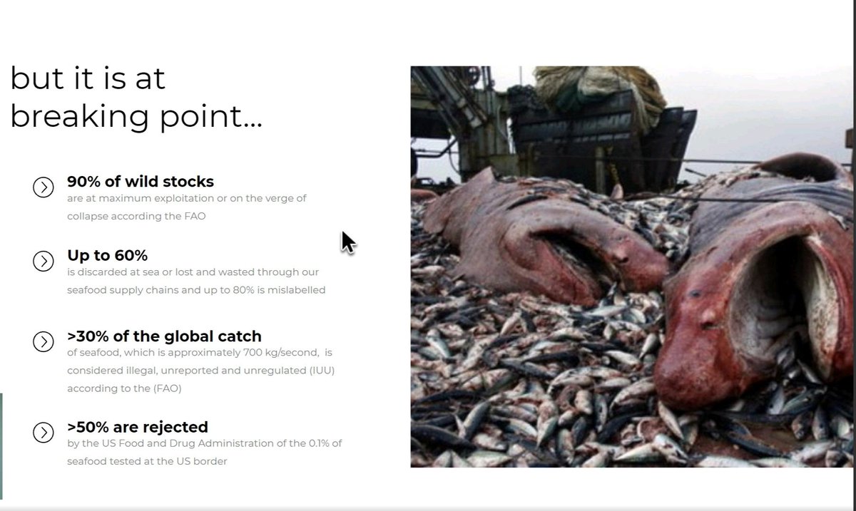 Radhika Palany tweet media