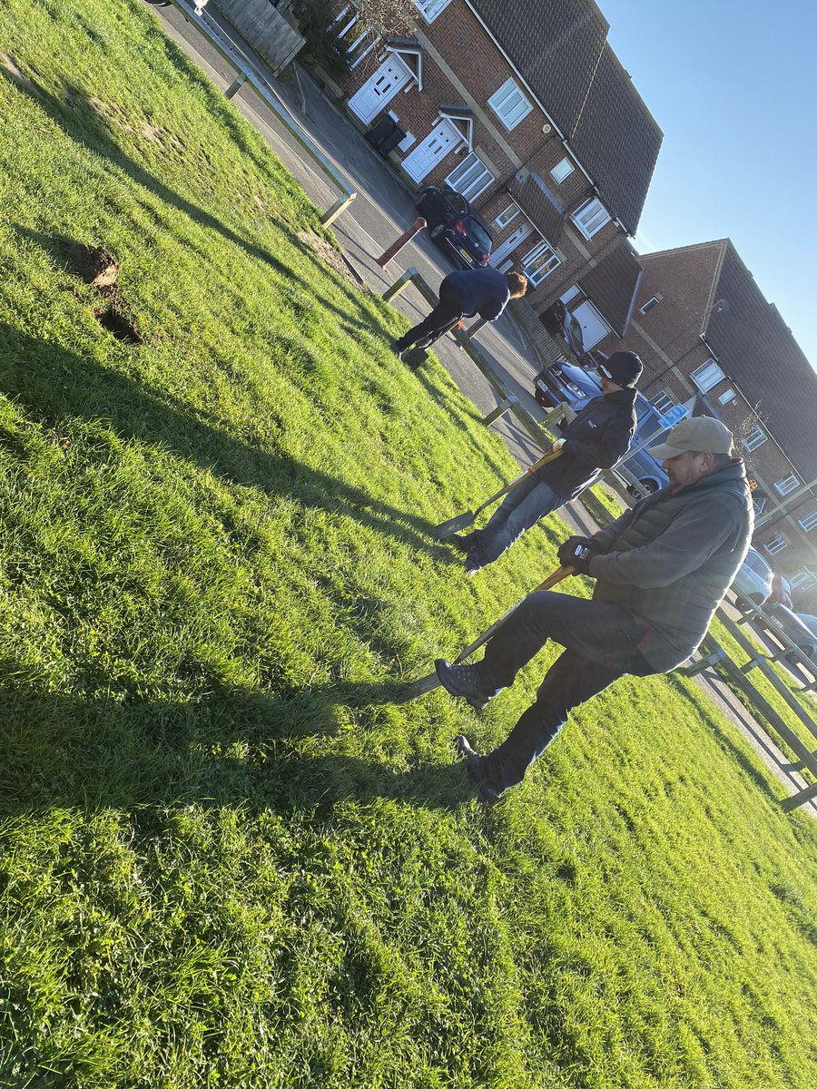 Danielle_B_CSR's tweet photo. @WatesGroup and @TCVtweets are planting 300 field maple trees in @GosportCouncil as part of our social value delivery in the borough. The team are getting stuck in and excited to dig and plant🌳 🌲 https://t.co/NoqIEu8JGr