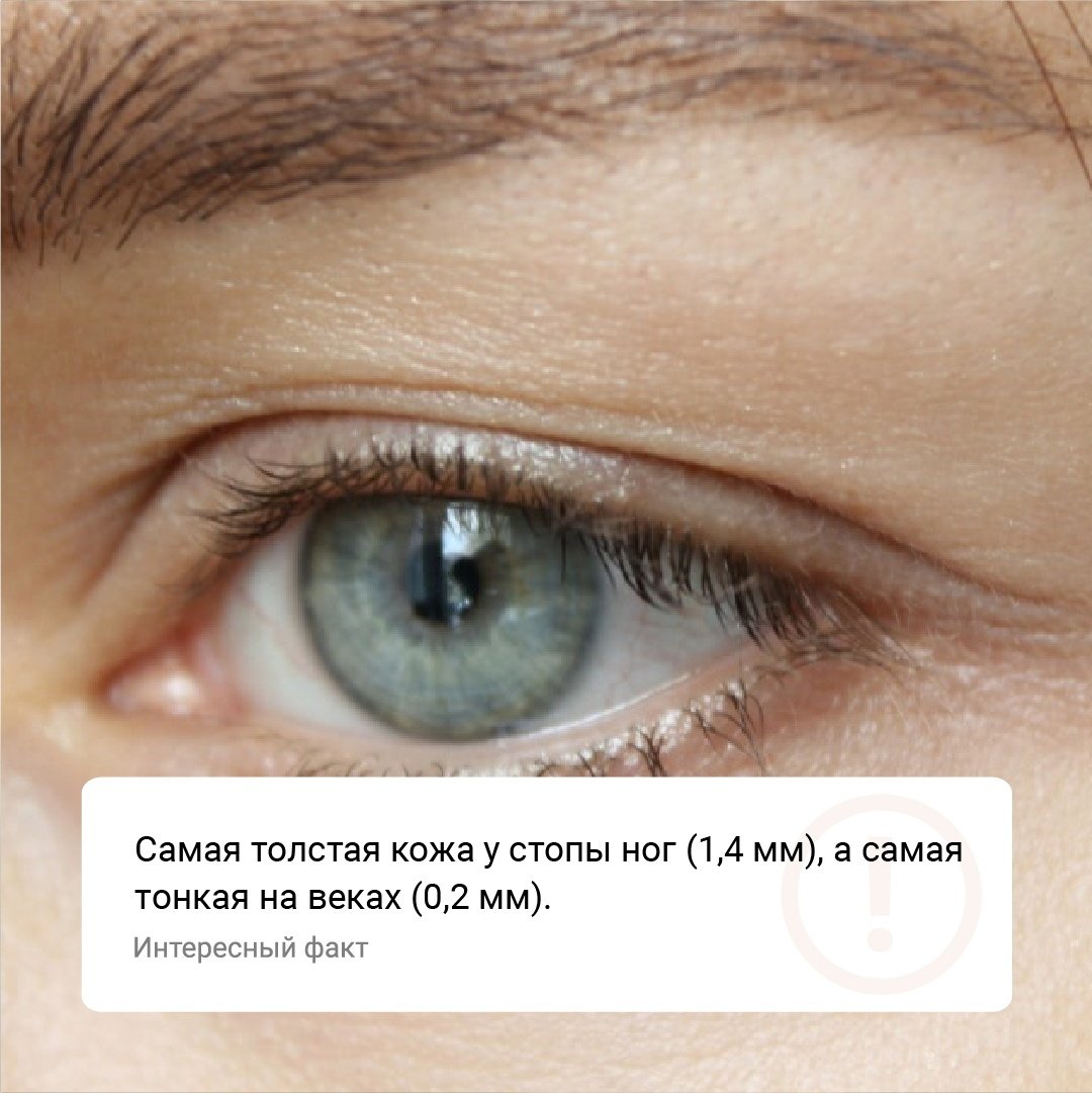 ivhelix's tweet photo. #этоинтересно #факт #interesting #fact #иваново #человек https://t.co/FG8EhMfd8M