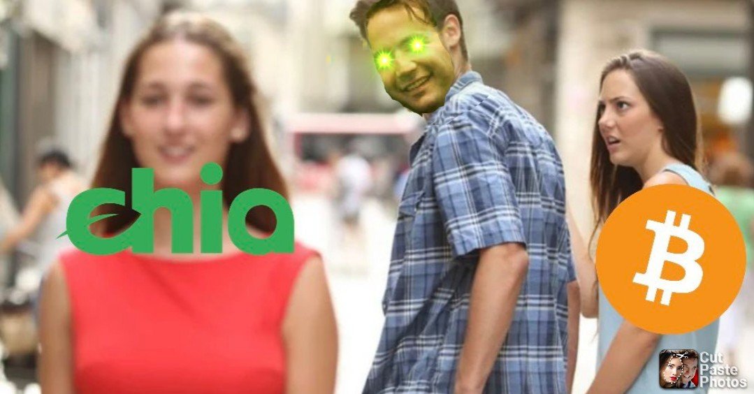 warp_coin's tweet photo. @LangelaarBram @chia_project @bramcohen In Bram We Trust!!! 
#Chia🌱 > #Bitcoin $XCH > $BTC https://t.co/rjTG6c9sgW