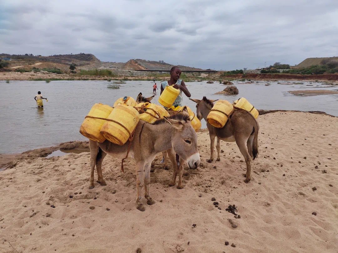 Energy China tweet media