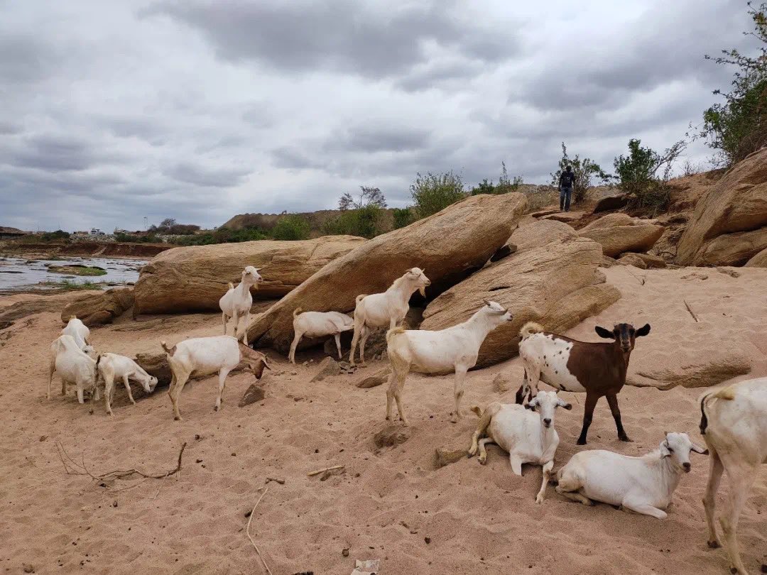 Energy China tweet media