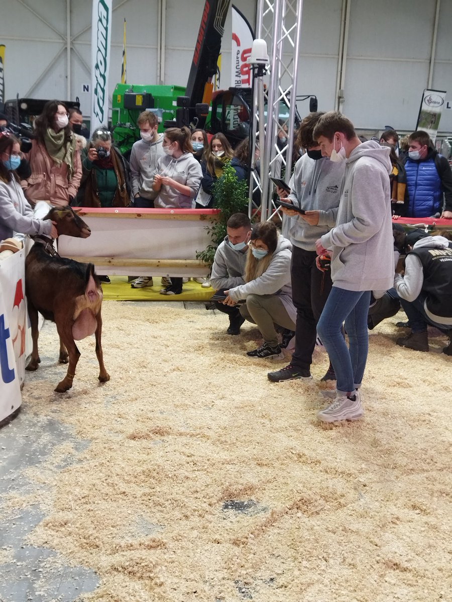 Caprinov's tweet photo. Concours de pointage par les jeunes de #capricup au salon #caprinov2021 https://t.co/F6A84bQGyA