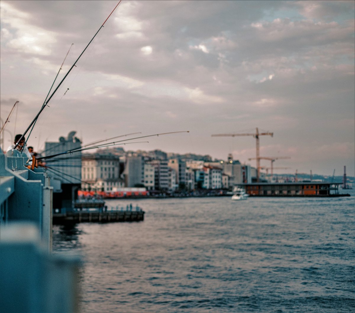 FishingTheSpot's tweet photo. A Saint-Vallier, le premier concours de street fishing a rencontré un grand succès ! 🎣🏢

#CONCOURS #success #news #fishinglife #fishing #fall #November #novembre #villes https://t.co/Nz7krdFkQz