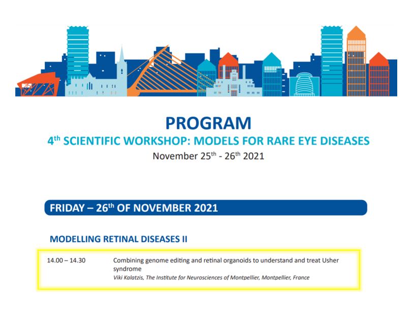 Vision_INM's tweet photo. Today starts the 4th ERN-EYE Scientific Workshop in Dublin. This will be an interesting congress where we will talk about #eyemodelling
Dr Kalatzis will present tomorrow our commitment to the use of #retinalorganoids to understand #retinaldiseases
@ErnEyeEU @INM_Montpellier https://t.co/yhFjZJMQtL