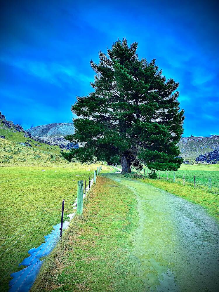 #love #lyrics #rock 

Flash me some smiles 
Cry me some tears 
Give  me some reason 
Cuz I wanna to live again