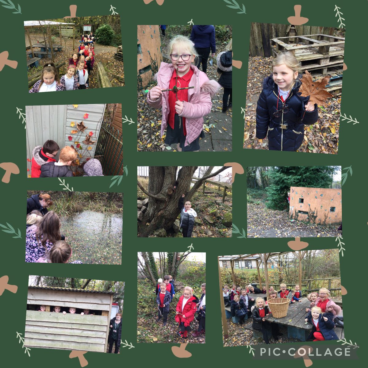 MrsFreeman95's tweet photo. The joy on the children’s faces when we found the kindness garden that ⁦@MrsARichards95⁩ and Dosbarth 3 created in our forest school.  We loved the sights, smells and sounds of all that live in our wonderful natural habitat that we are so lucky to be able to explore🦔 https://t.co/fo1135gOI9