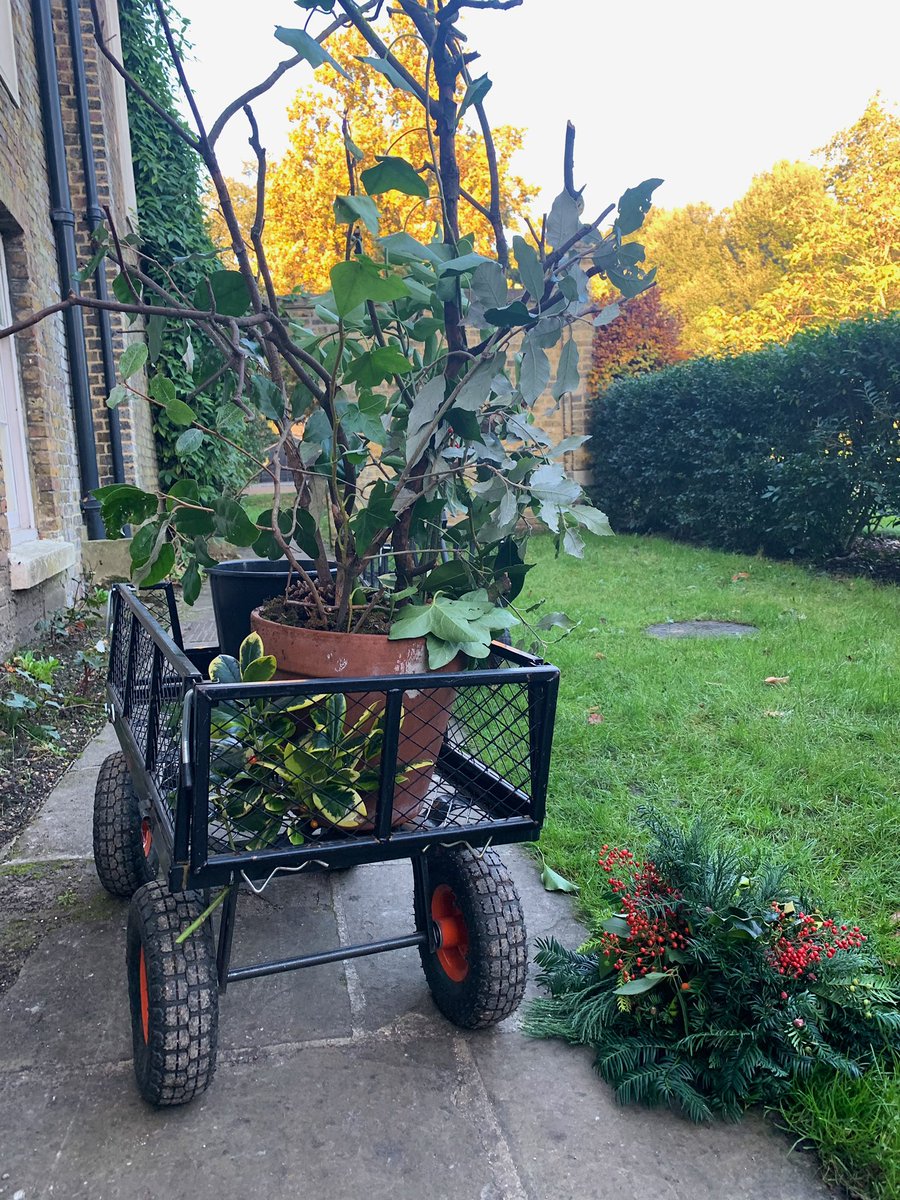 Fulham Palace tweet media