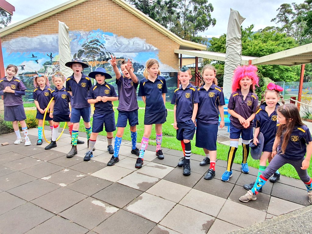 KangarooV_PS's tweet photo. Crazy hair &amp; colourful sock day to help fundraise for Year 6 gift to school. #KVPS #smallschools #publiceducation https://t.co/t9x7tBiOM6