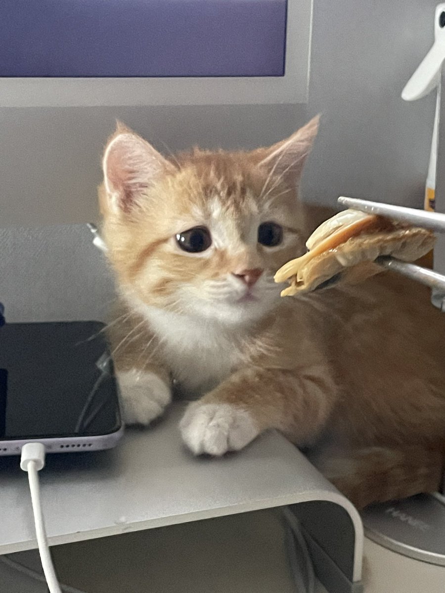 dongggeul's tweet photo. 뺏어먹을 용기도 없으면서 https://t.co/fVqM8TNAx7