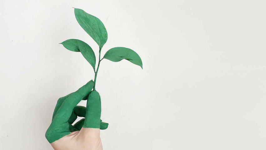 mkdirecto's tweet photo. Meta lanza #GreenBoost para ayudar a las pymes españolas a luchar contra el cambio climático https://t.co/iui0euHD06 https://t.co/TB7WlZvUsa