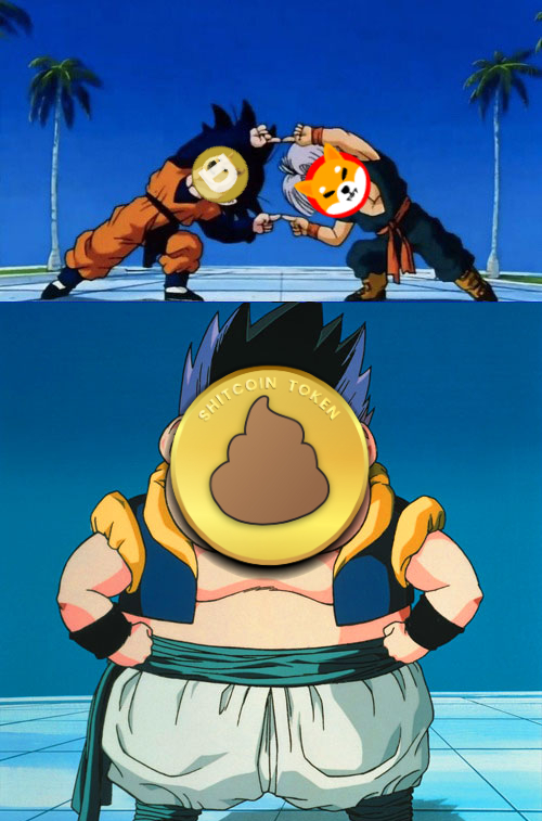 <a href="/binance/">Binance</a> <a href="/Cardano/">Cardano Community</a> 💩 So many people buying meme animals, what for? That's shit, if you want shit, buy the authentic shitcoin > <a href="/TokenShitcoin/">Shitcoin</a> 

🔰 Contract: 0xcac0850c07a1e46d3283afc41bce9e245561a98f

$SHIT #ShitcoinArmy