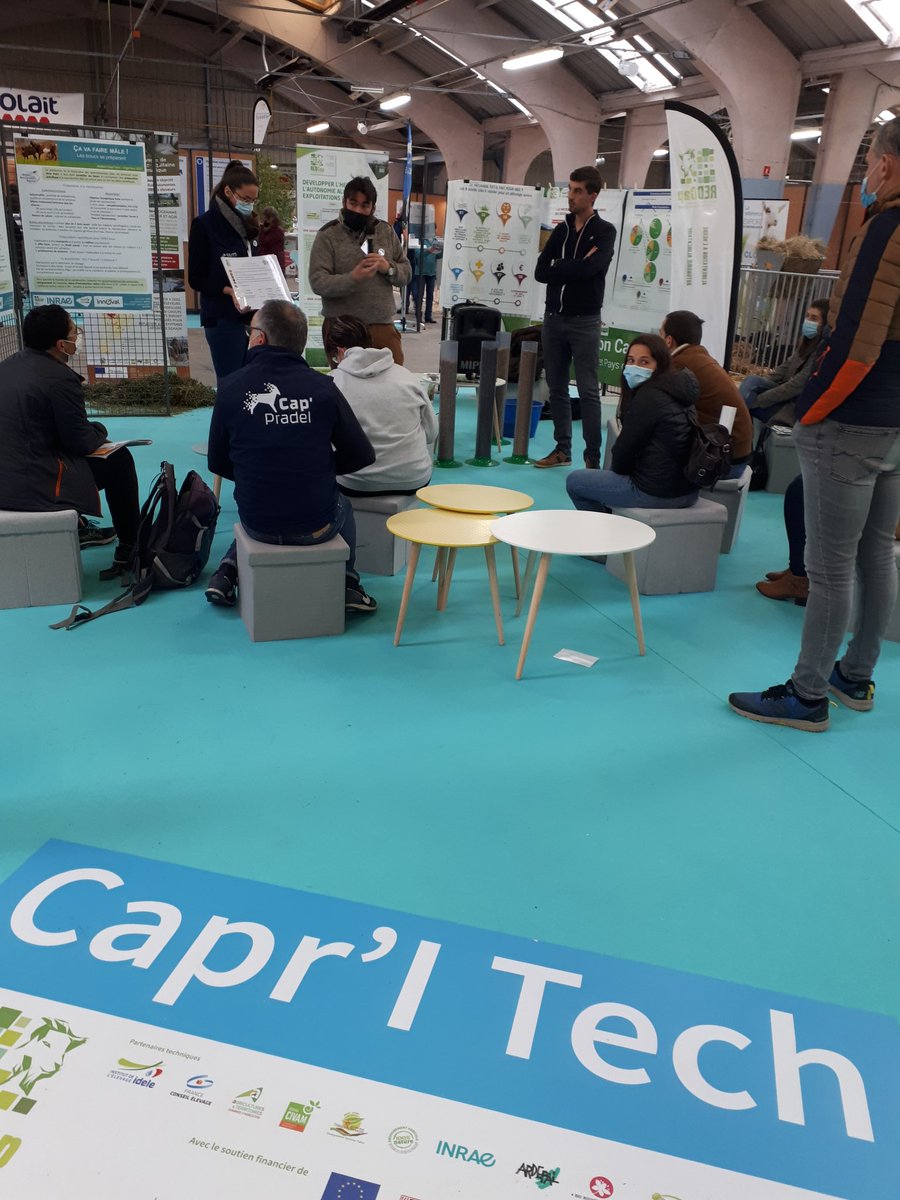 ChevreMag's tweet photo. A @Caprinov, @Bluet_Bertrand de @InstitutElevage presente les protéines végétales utilisables en élevages #caprins
#CapProteines #CaprITech https://t.co/yVfeOVe34d