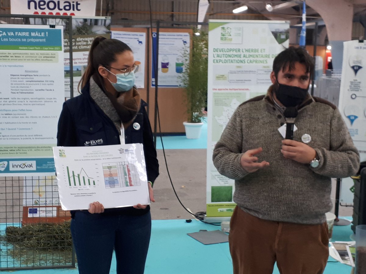 ChevreMag's tweet photo. A @Caprinov, @Bluet_Bertrand de @InstitutElevage presente les protéines végétales utilisables en élevages #caprins
#CapProteines #CaprITech https://t.co/yVfeOVe34d