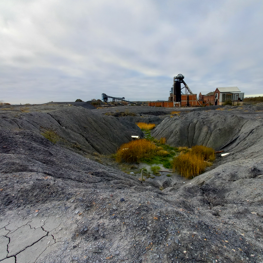 yuchenwang's tweet photo. Filming @DNCreates new commission #FullCircle curated by @mikestubbs for @DanumGLAM exploring Doncaster’s post-industrial landscape, where nature and technology collide #HatfieldColliery #slagheap #HumberheadPeatlands conservation rewetting #LindholmeOldMoor #SphagnumMoss https://t.co/FUnKq1ZS6a