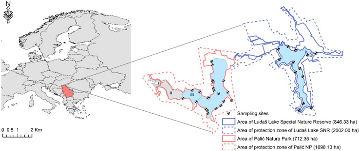 Forests_MDPI's tweet image. 🧐Check out an interesting paper:✨Diffuse #Pollution and Ecological Risk Assessment in Ludaš Lake Special Nature Reserve and Palić Nature Park (Pannonian Basin),✍️by Milica Caković et al. @Univerzitet_BG 
➡️mdpi.com/1999-4907/12/1…
 
#diffusepollution #foreststeppe #heavymetals