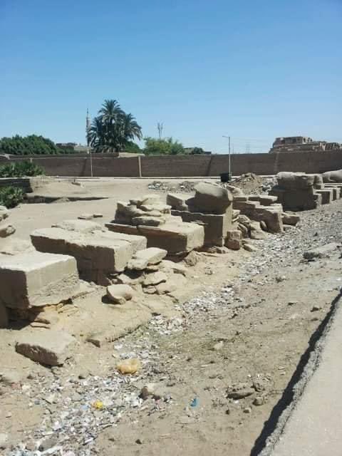 Esll7970Gladii's tweet photo. عشان تعرف حجم الانجاز لـ أحياء #طريق_الكباش!! شوف الصور دي

- الصوره الاولي بعد الأنتهاء من تطويره وسيتم الافتتاح النهاردا

- باقي الصور لطريق الكباش قبل التطوير والترميم

"الاحفاد سيبهرون العالم اليوم" ..❤️✌️🇪🇬
#SphinxAvenueLuxor 
#احتفالية_الكباش
#طريق_الكباش https://t.co/ozw9xHmxfN