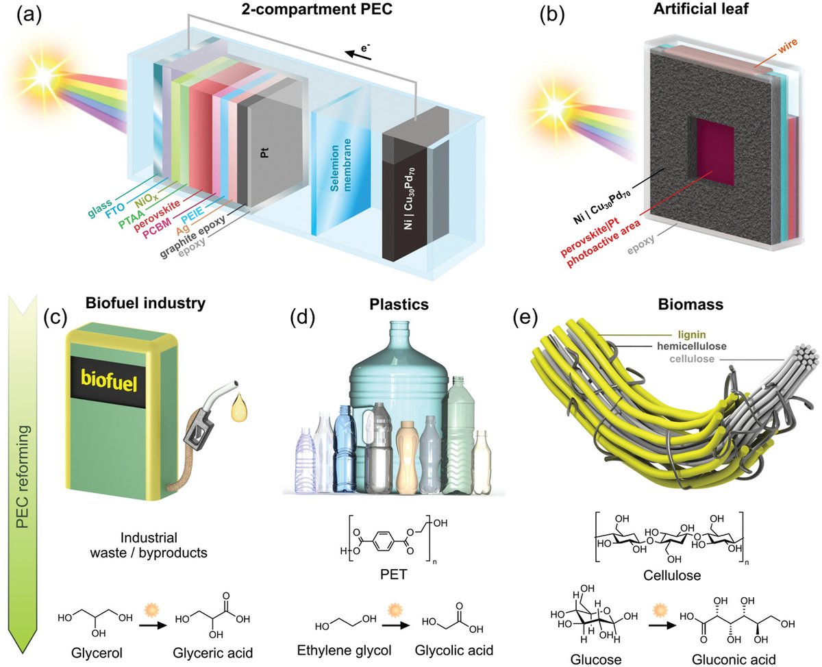 "Artificial leaf" which uses sunlight to generate fuels from biomass

Check out the article --> 

Reforming of Soluble Biomass and Plastic Derived Waste Using a Bias‐Free Cu30Pd70|Perovskite|Pt Photoelectrochemical Device 

onlinelibrary.wiley.com/doi/10.1002/ad…
