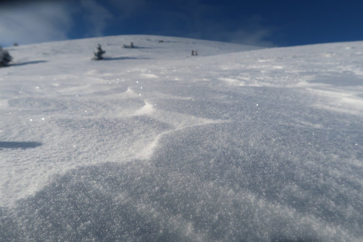 caranorte's tweet photo. Buenísima nevada en la #Cerdanya ¡Hasta 1/2 metro! (acompañada de viento) ¡Temporada de #skimo on! En breve cerramos fechas, ponte en contacto para info y reservas (+ fotos en el https://t.co/B9qZSGNuoo). https://t.co/7poz7xlHo3