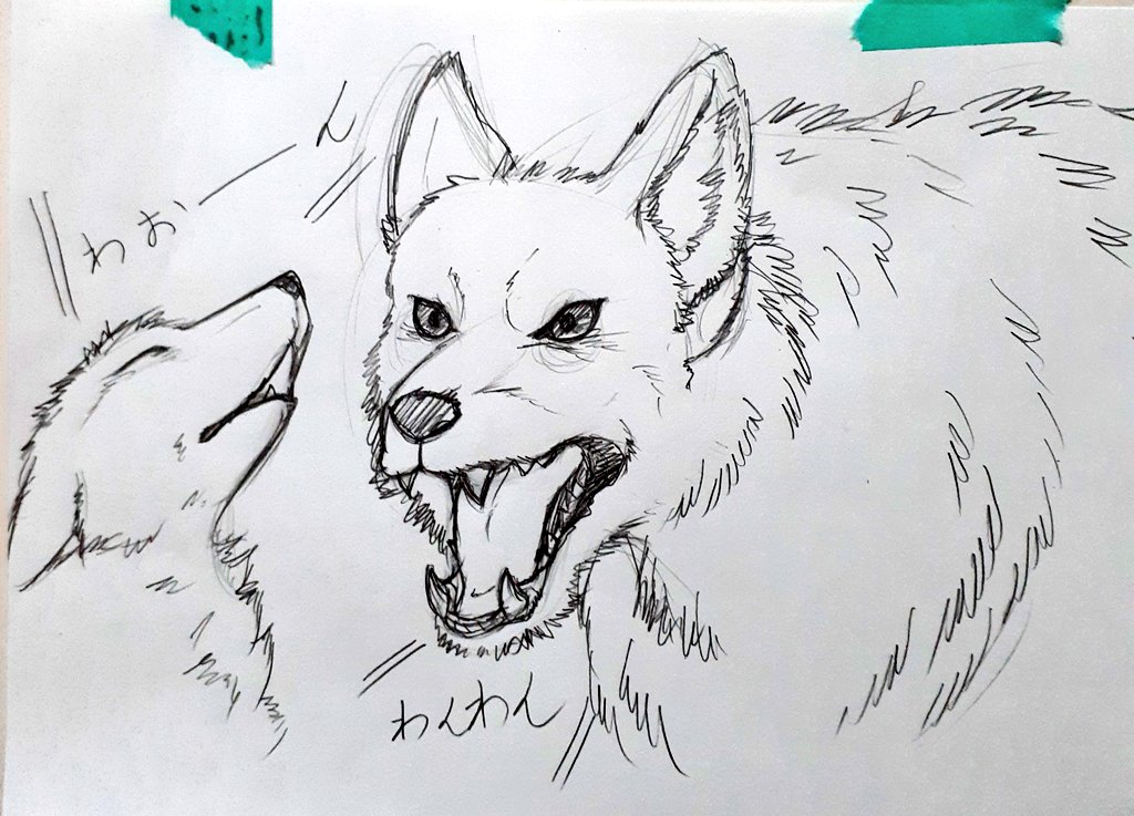 久しぶりにイラスト描ける事が
嬉しすぎて
描き殴った🐺と🦔。

まだ長い事座ってるのは
腰が痛いので、
ささっと下描きばっかり💦😇😇😇 