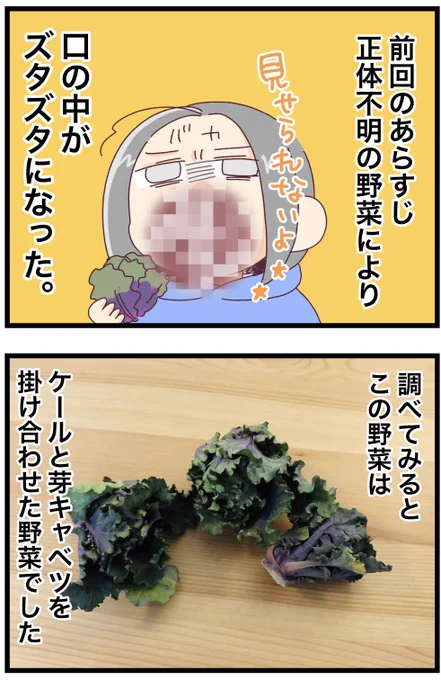 『プチヴェール』っておしゃれな名前の野菜だった

#コルクラボマンガ専科 #オーストラリア  #みれの絵日記
私→みれ 夫→うり 