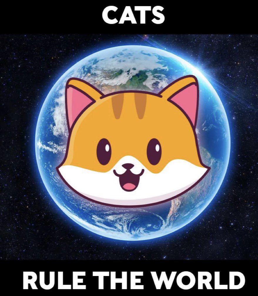 jason_vic's tweet photo. @catecoinonly #catecoin https://t.co/djeKkzIriy