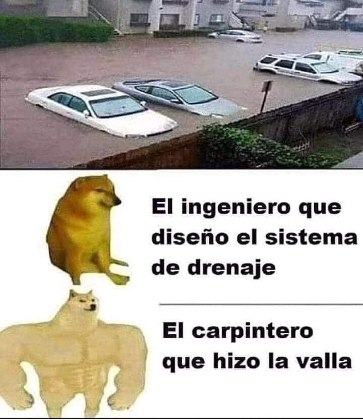 ErigolDelViento's tweet photo. https://t.co/fwwTWPnebM