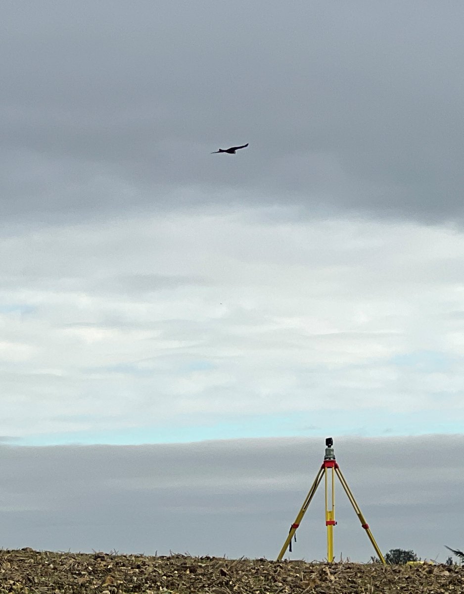 TriCAD's tweet photo. The nights are definately closing in and frosts are here. Making the most of our daylight, natural drone and some bugs on the system. Keep warm and safe out there! https://t.co/QQaWqMyFjf