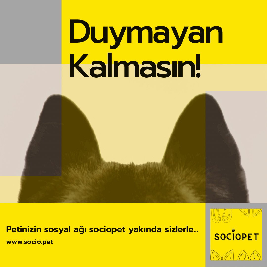socipetofficial's tweet photo. Faydalı bilgiler içinse biz burdayız, takipte kalın…
.
.
.
.
.
.
.
.
#pet #vet #petcare #petsofinstagram #petlovers #veterinarymedicine #appforpets #hayvanlar #hayvanlaralemi #kedi #cat #kediler #cats #dog #animal #petsafety #sokakhayvanlar #hayvansever #hayvanhakları https://t.co/kdDVAfsAdW