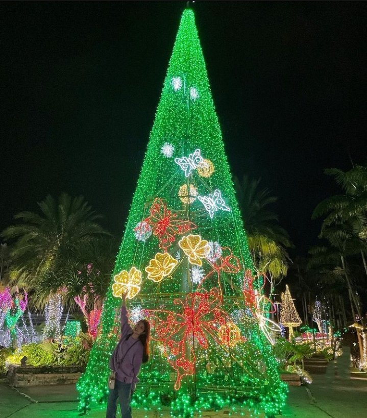 https_kotoruan's tweet photo. 🎄
#카미모토코토네 #이케마루안 #KamimotoKotone #IkemaRuan https://t.co/hOrNAebjDb https://t.co/Zn4F8jJqwn