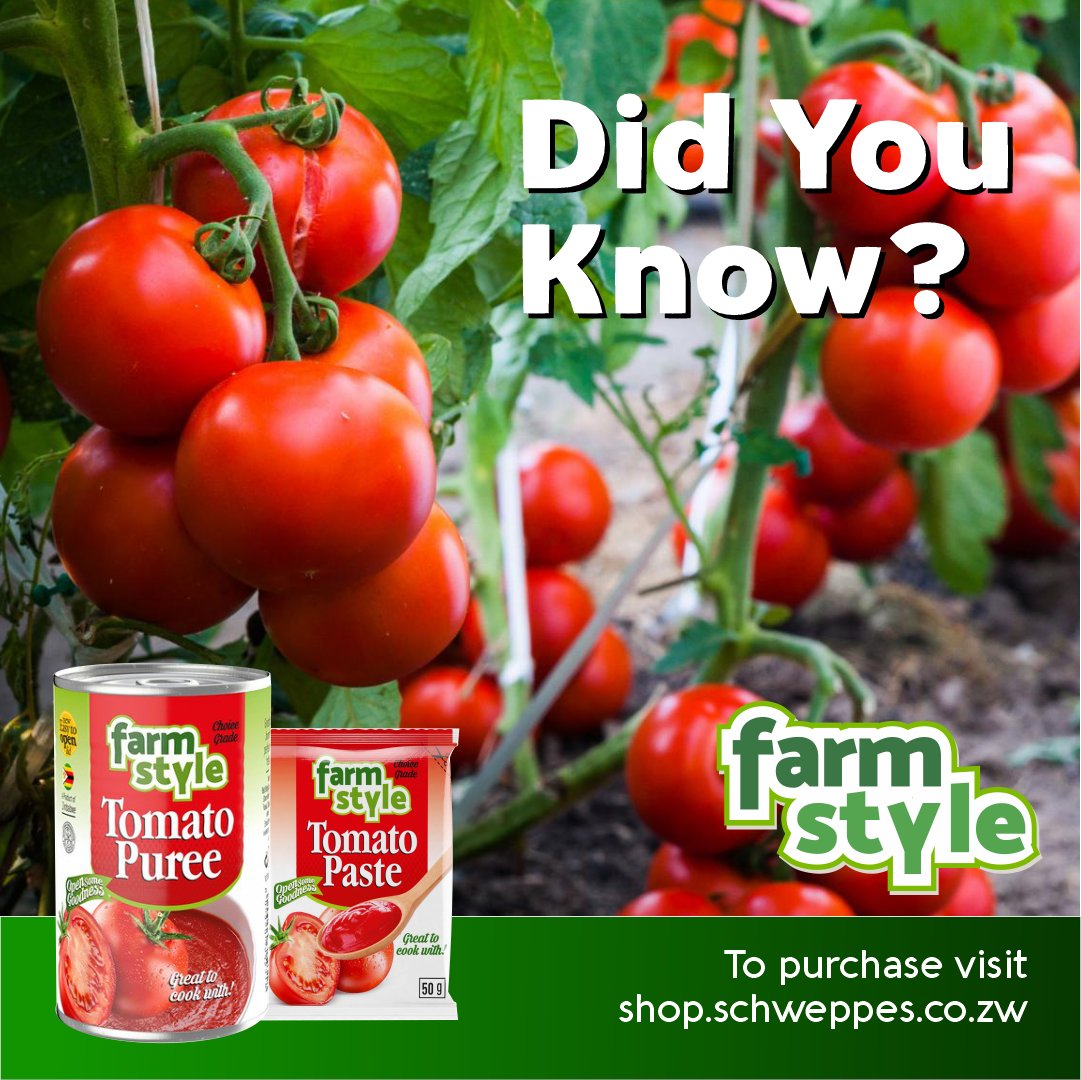 bbjfarmstyle's tweet photo. Did you know? Tomatoes are fruits that are considered vegetables by nutritionists. Botanically, a fruit is a ripened flower ovary and contains seeds. 🍅😋

visit https://t.co/kTJmXznBw6 to purchase and enjoy FREE delivery. https://t.co/yfRb9eIIA0