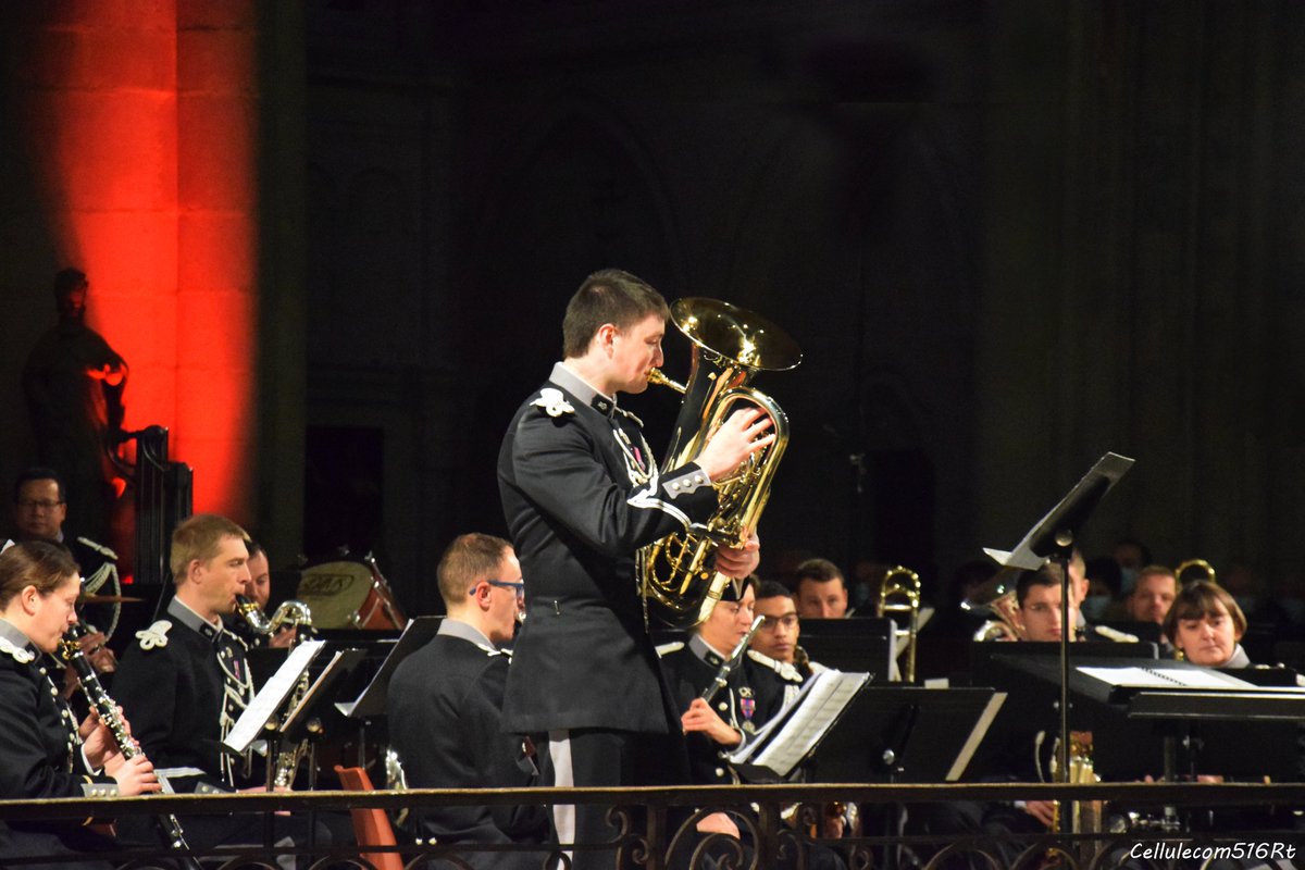 516e régiment du train tweet media