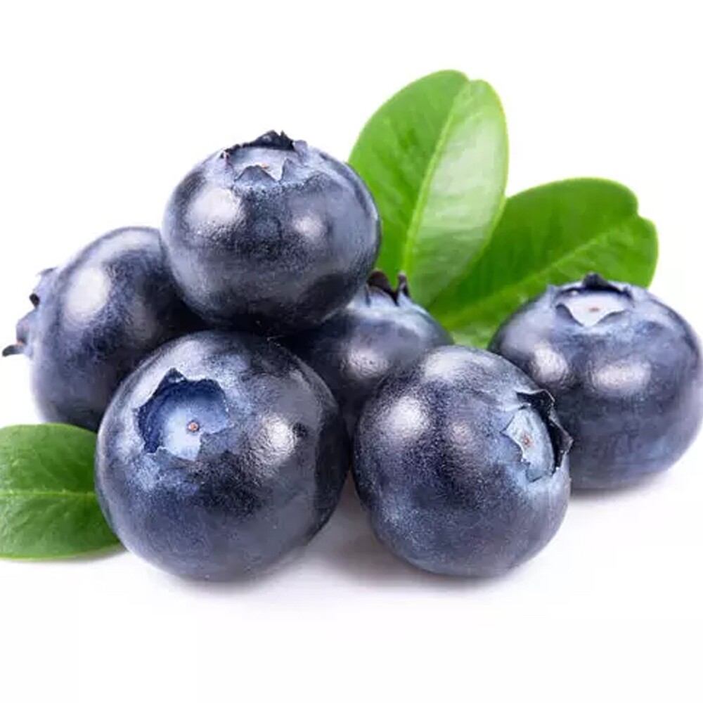 Today's second fruit is Dewey Duck from Ducktales 2017! He's a blueberry :]
(Requested by <a href="/HeadcanonsOTD/">Headcanons OTD 🎀 archived!</a>)