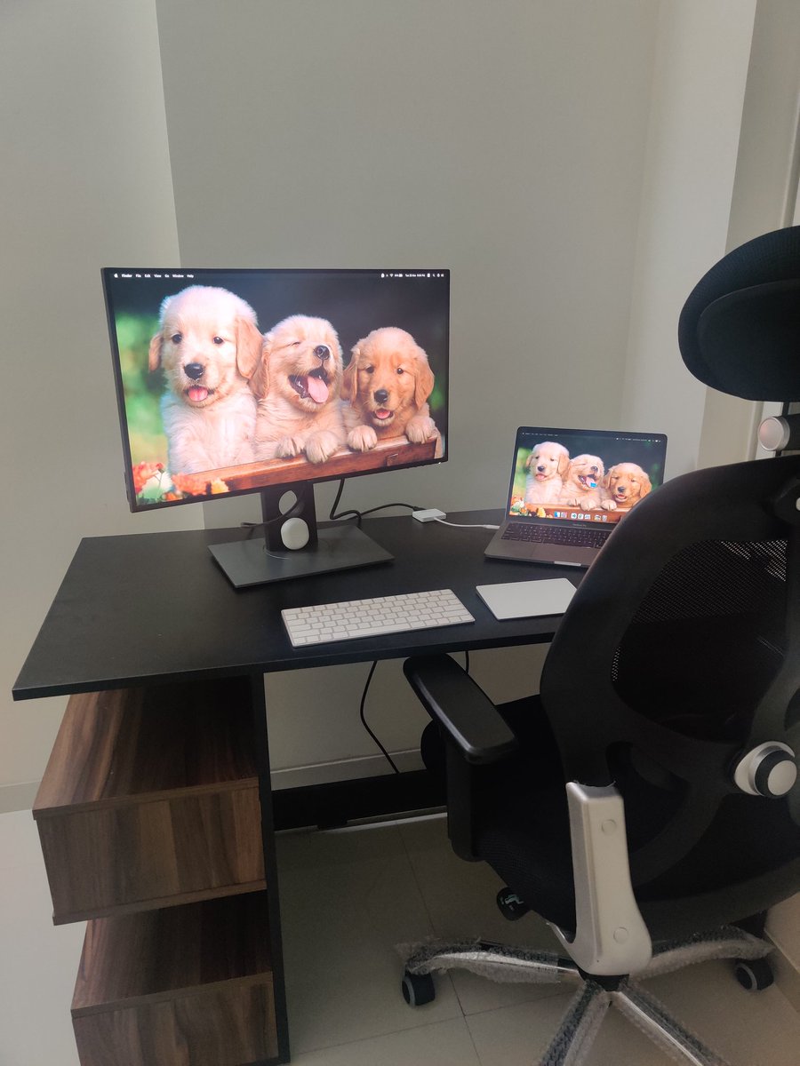 shreys97's tweet photo. Life update: Moved to @peakbengaluru 🐣 https://t.co/ulFDuzKj5c