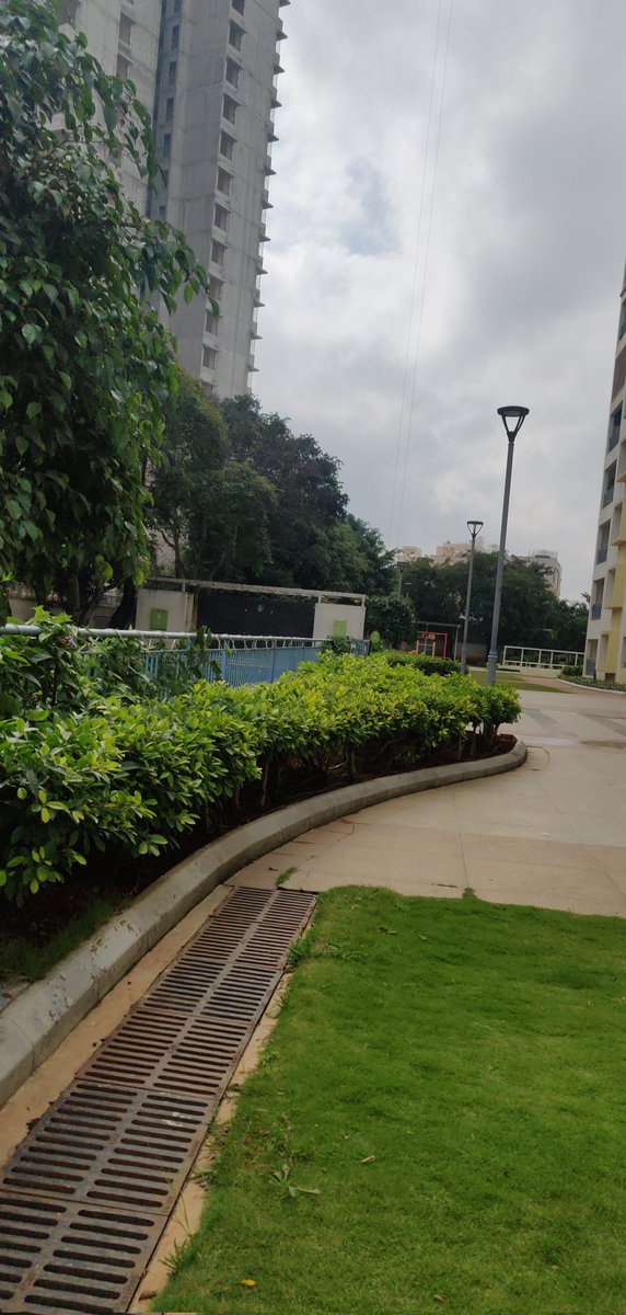 shreys97's tweet photo. Life update: Moved to @peakbengaluru 🐣 https://t.co/ulFDuzKj5c