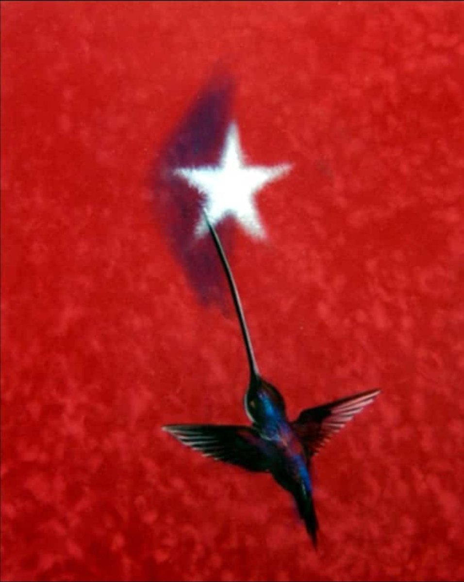 Soy fidelista...y qué?
#FidelViveCubaSigue