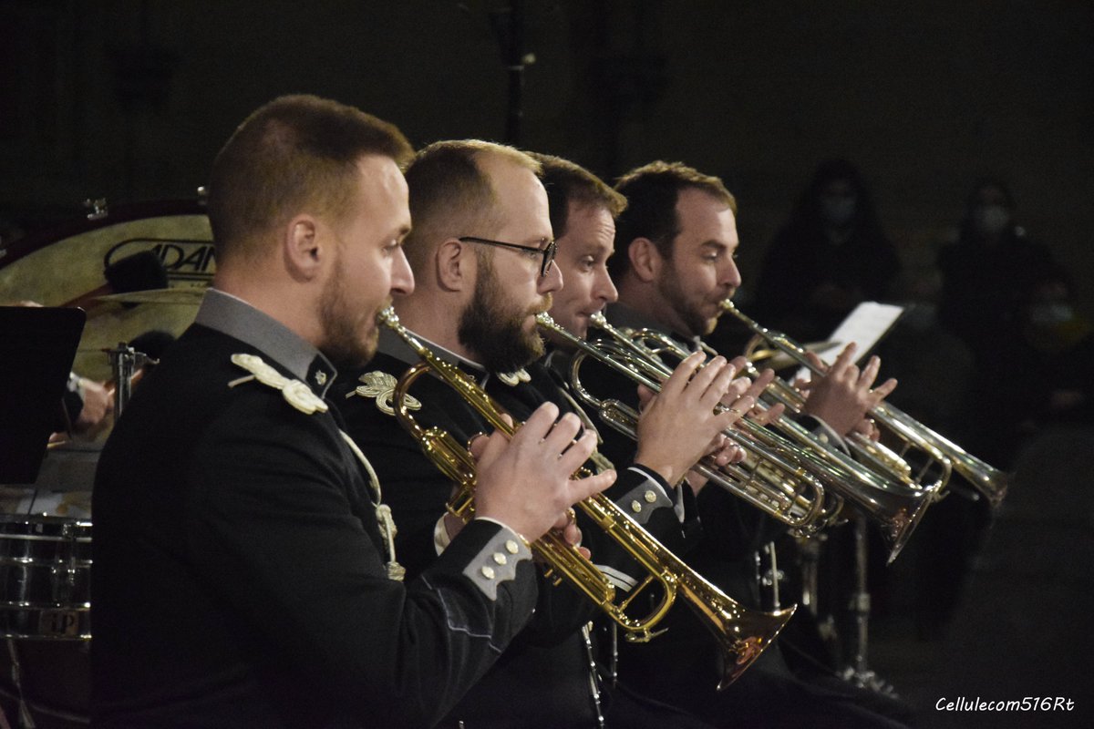 516e régiment du train tweet media