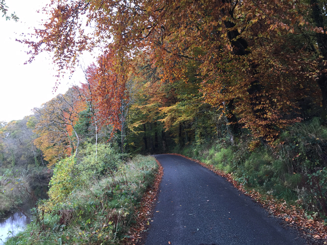 Lovely walks around Carrick on Shannon and Leitrim including Drumhauver Bridge Loop, Battlebridge. The 10km loop follows quiet road and grassy canal bank, very pleasant walking along a quiet waterway. #OriginalIrishThursday  <a href="/originalirishht/">Original Irish Hotels</a> <a href="/LeitrimTNetwork/">LeitrimTourismNet</a>