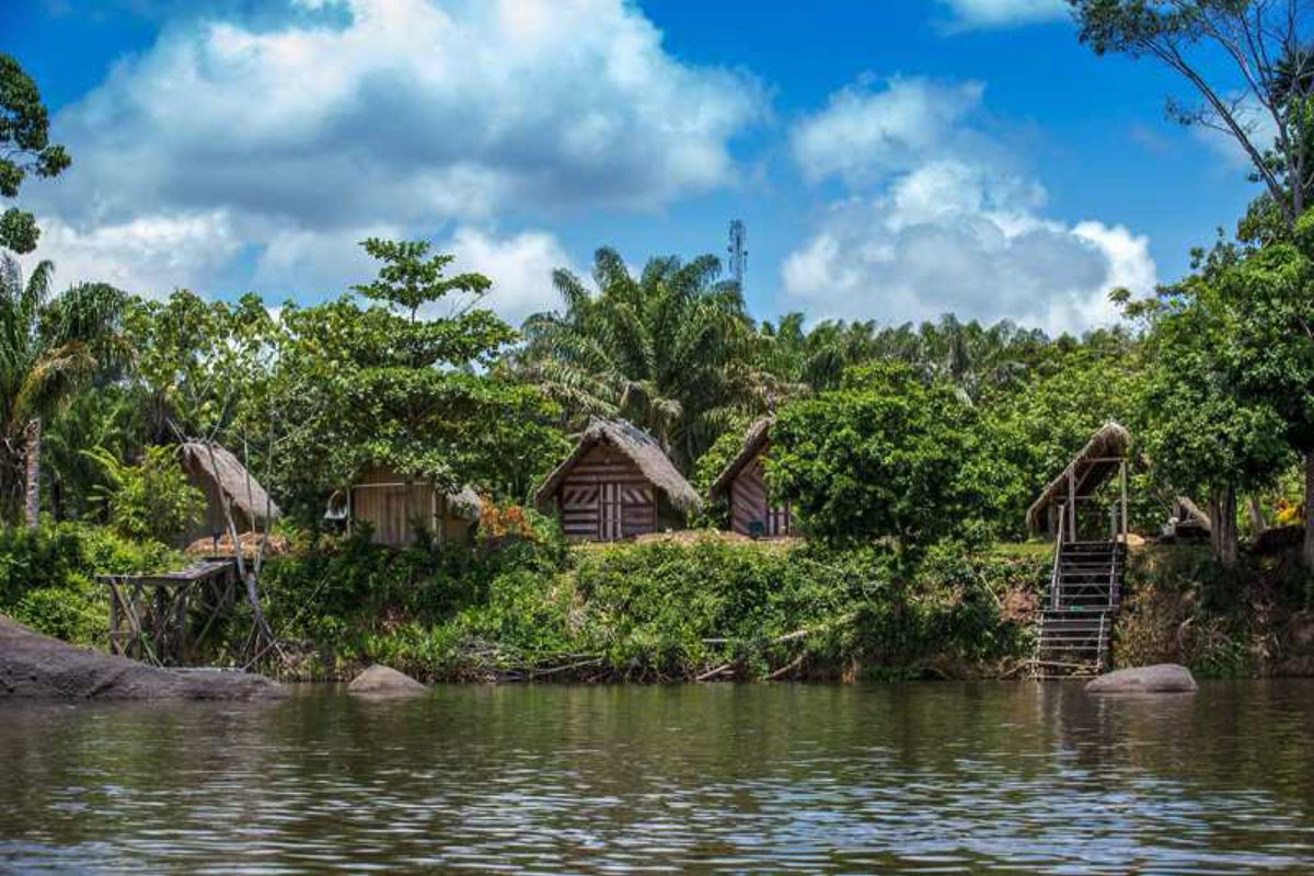 jaysgoodlife's tweet photo. Birthday shout out to one of the most beautiful places on earth 🥰

Wan Swit’ Srefidensi Dey, Sranan 🇸🇷
Na wan hiep hiep hiep 💃🏾🎉🍾🥂
#Happy46th #Srefidensi #HappyIndepenceDay https://t.co/lRppvLX469