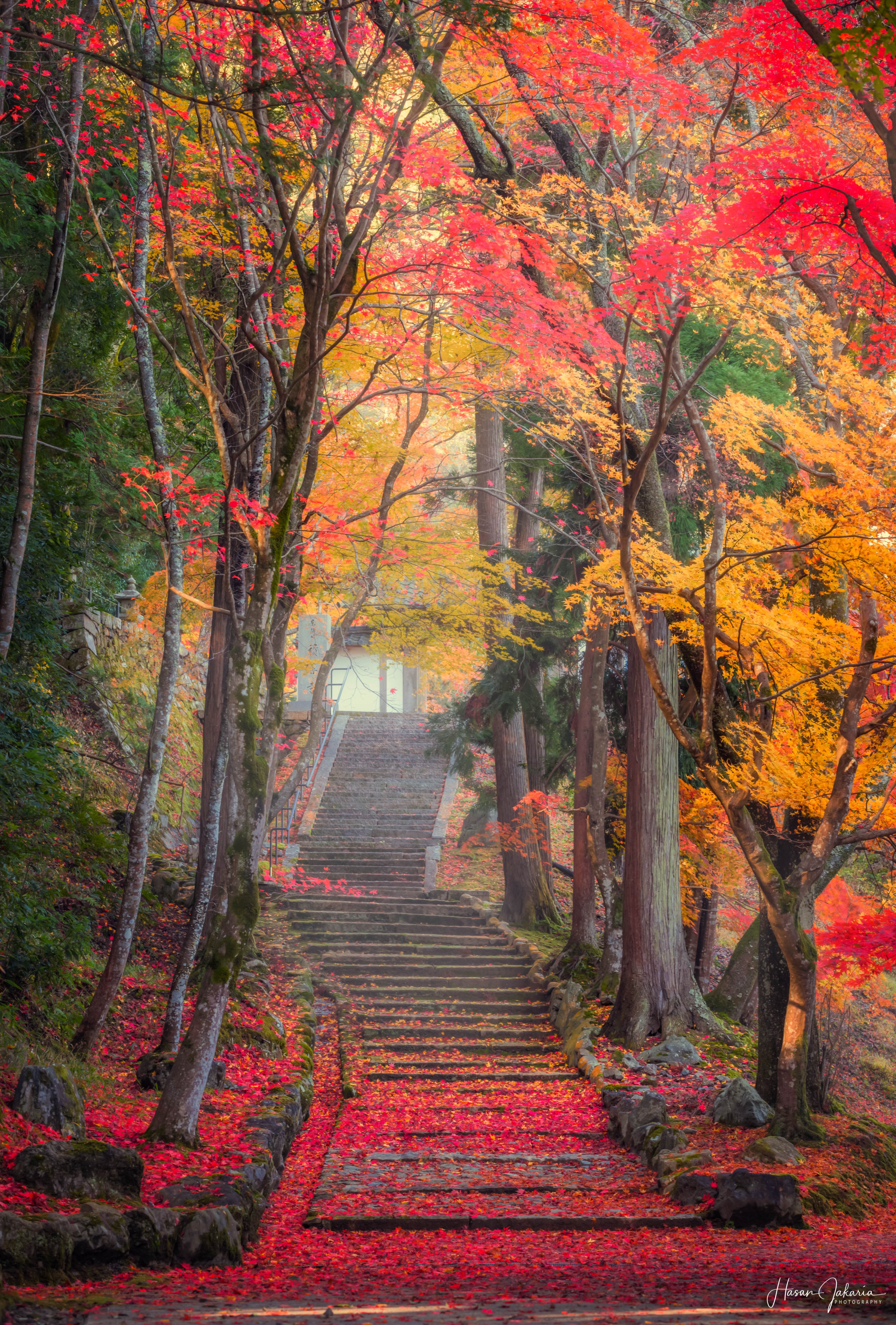 Hasan Jakaria Hasan Jakaria1 Twitter