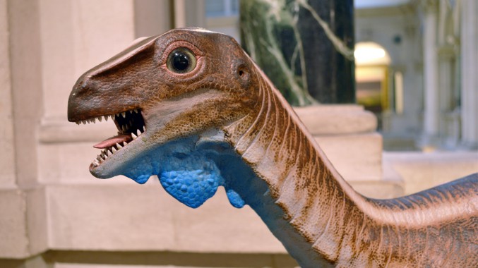 Brismuseumlearn's tweet photo. Herds of #Thecodontosaurus roamed Bristol about 210 million years ago, when it was a landscape of small tropical islands. Find out more about the Bristol dinosaur with our curator Deborah in this short video for learners and teachers🦖https://t.co/PNx9G6Dk3K
#dinosaurs https://t.co/SmNBhuTnT8