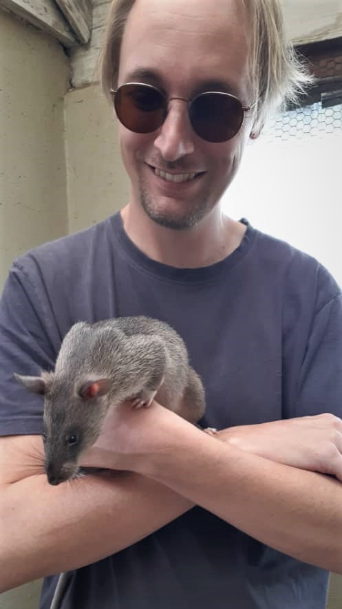 Here's one of my pet Gambian rats I've just managed to get.