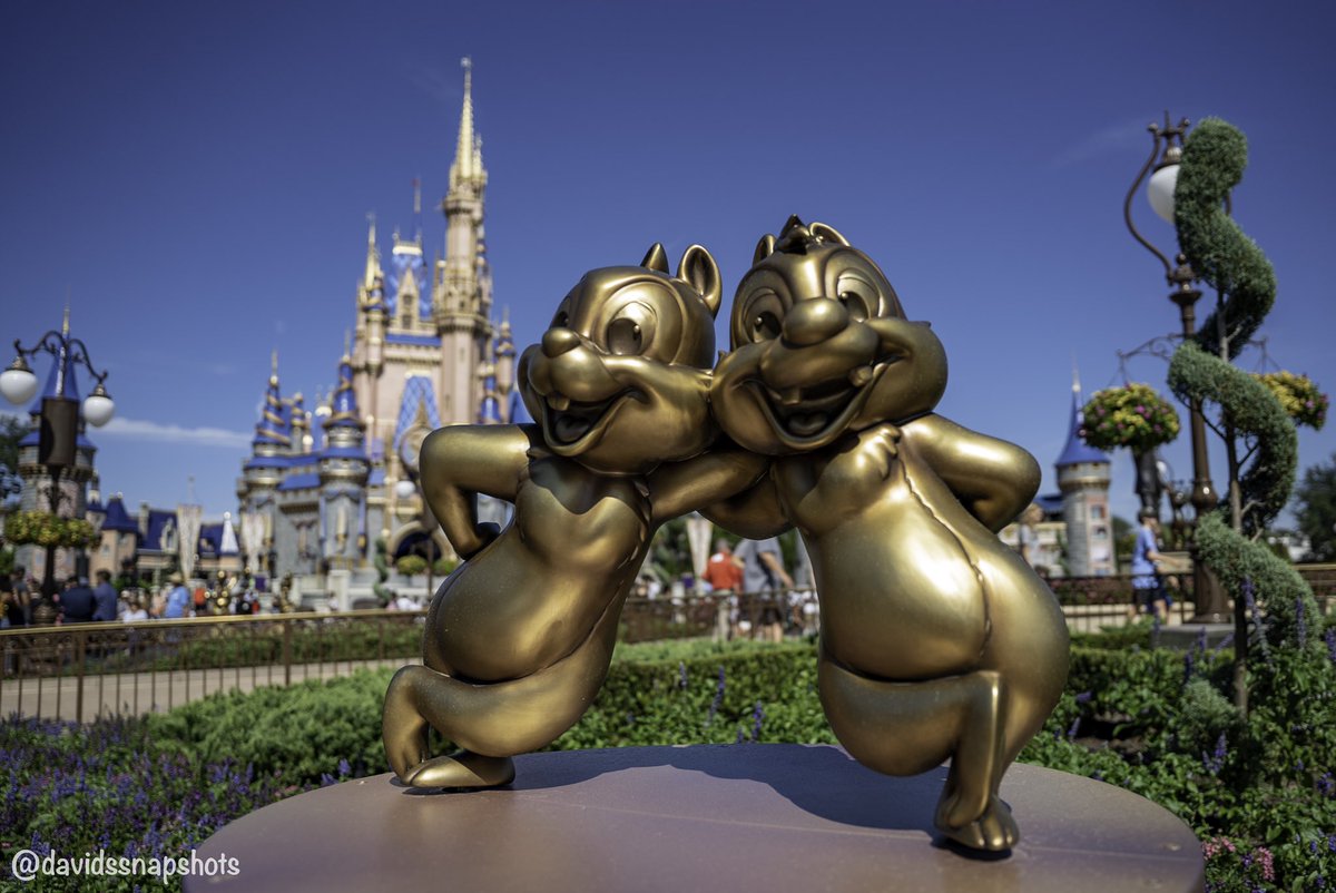 EDisneyMagic's tweet photo. Happy Thanksgiving!  There is so much to be thankful for 🧡.  Wishing everyone a wonderful day! https://t.co/EdHx0orc5h